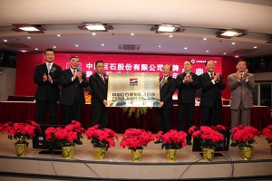 中国玻纤更名中国j9九游会官方网站