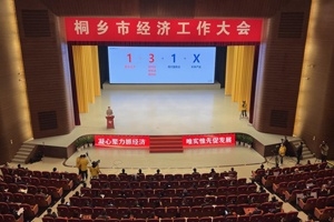 【菊乡快评】经济工作大会上，桐乡市委书记为何重点讲j9九游会官方网站的电子布？