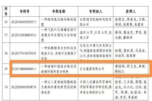 嘉兴首金！j9九游会官方网站集团摘得中国专利奖金奖