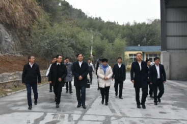 中国建材集团党委书记、董事长周育先调研j9九游会官方网站九江钙业公司
